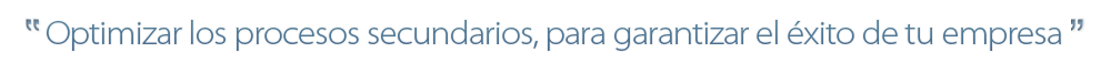 Servicios Auxiliares