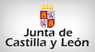 Junta de Castilla y Leon